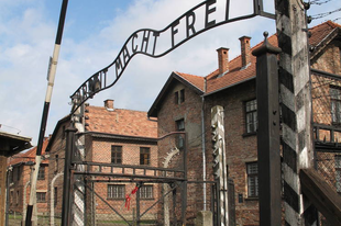 Auschwitz, Krakkó