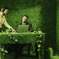 Mitől lesz zöld egy iroda?