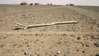 Tombol Kelet-Afrikában a klímaváltozás okozta szárazság