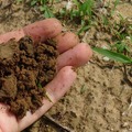 „BioRoadshow – Posztold a komposztot!” felhívás - PÉCSI óvodáknak