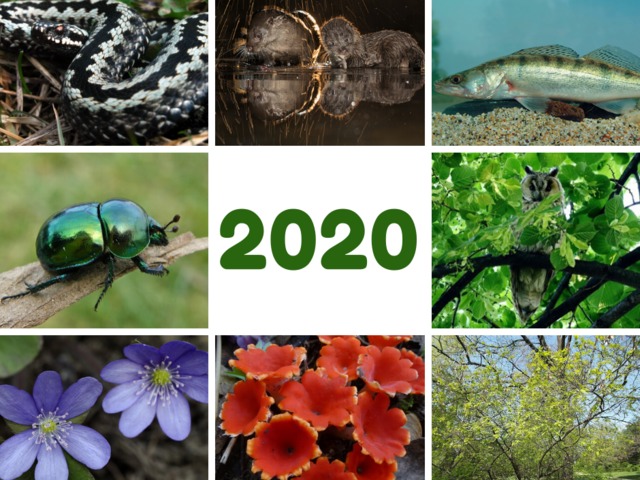 Az év élőlényei 2020
