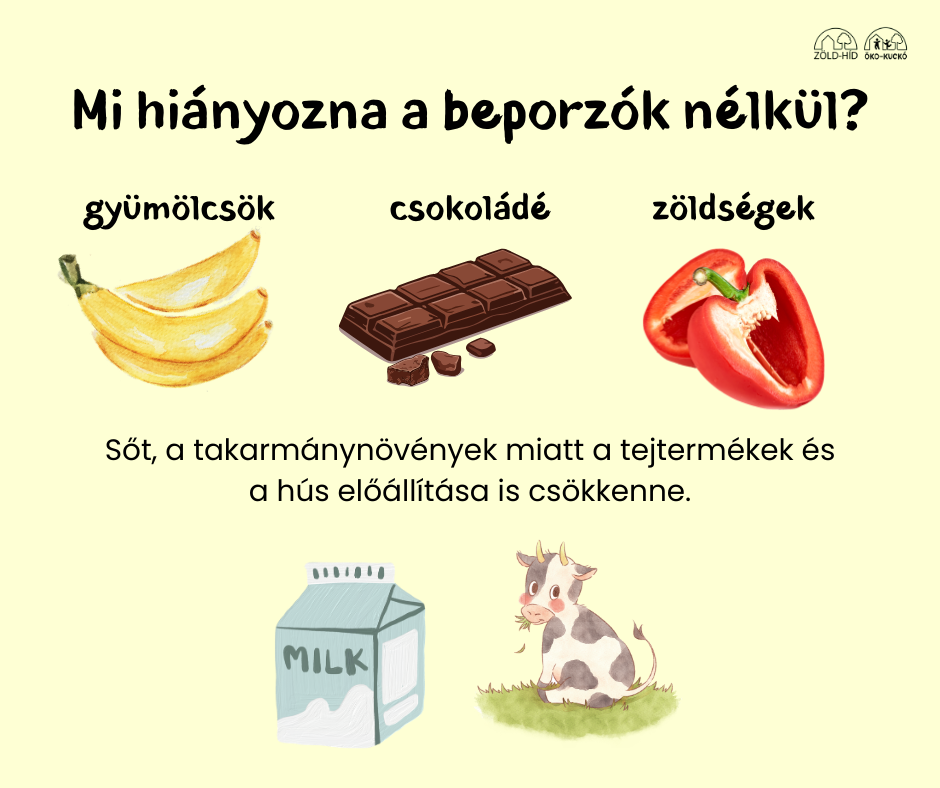 4_11.png