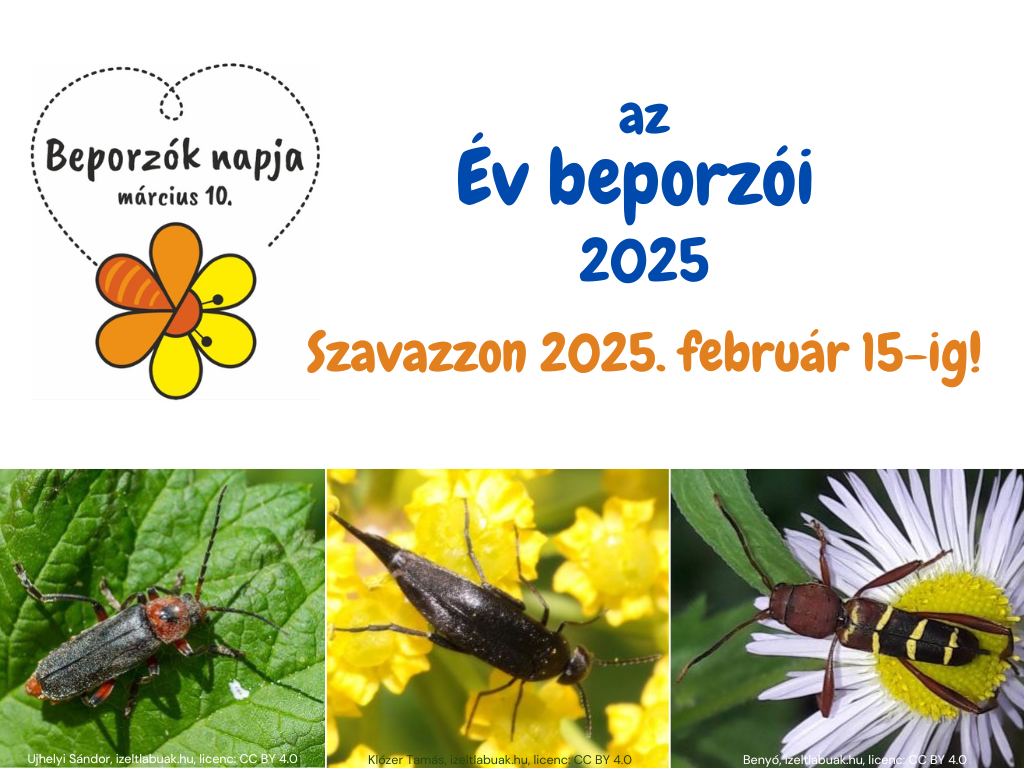 ev_beporzoi_2025.png