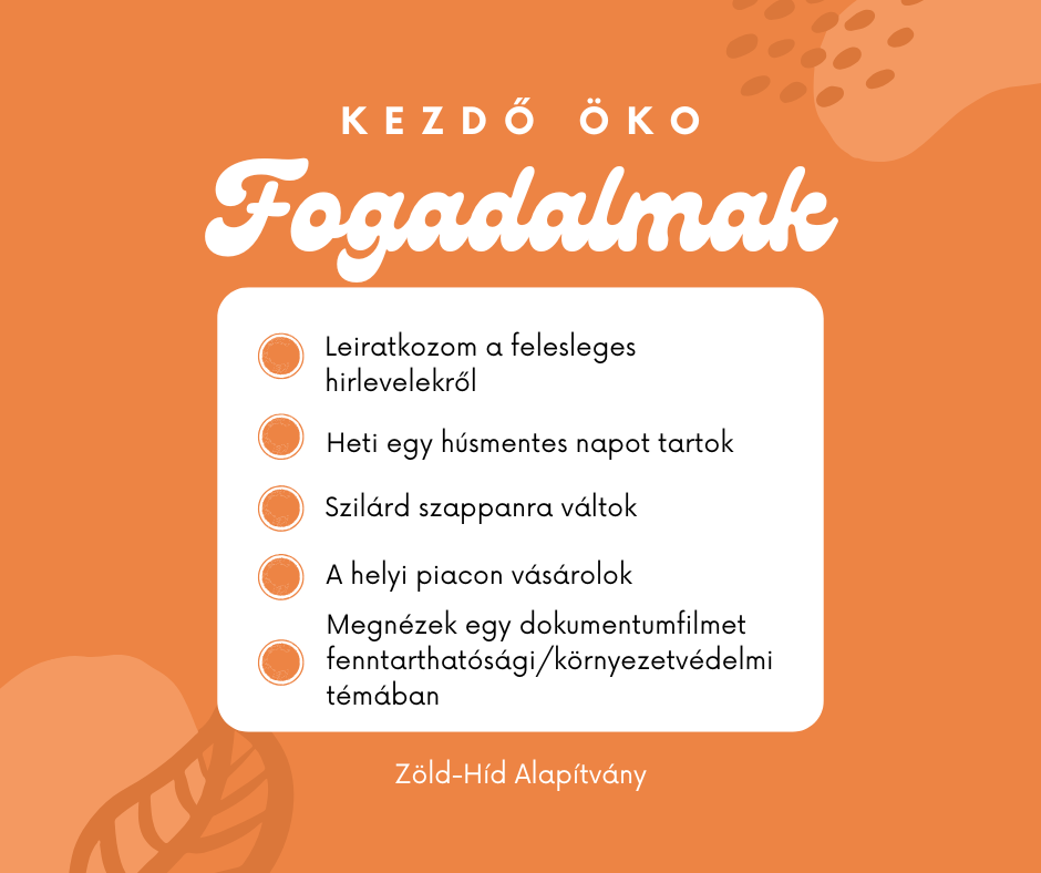 Kezdő öko fogadalmak