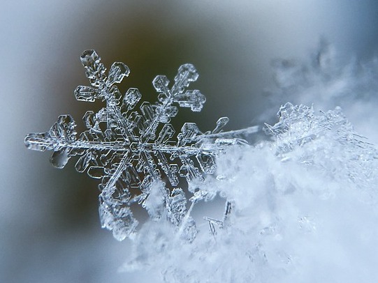 snowflake-1245748_960_720.jpg