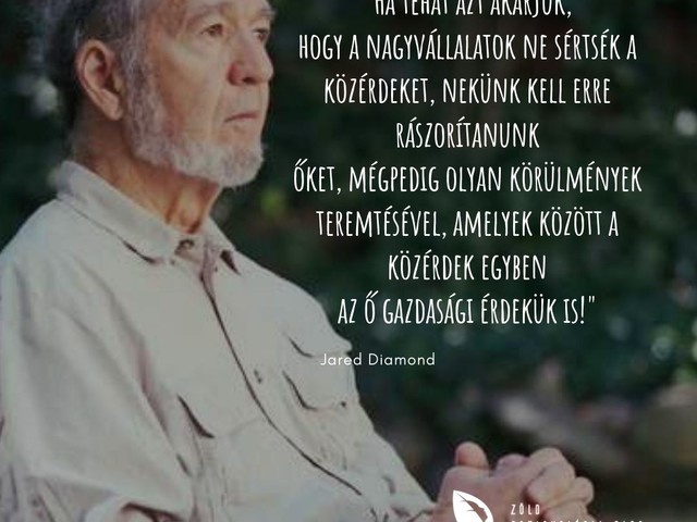 Zöld torzításaink 4. rész – Lehet-e zöld a pornó?