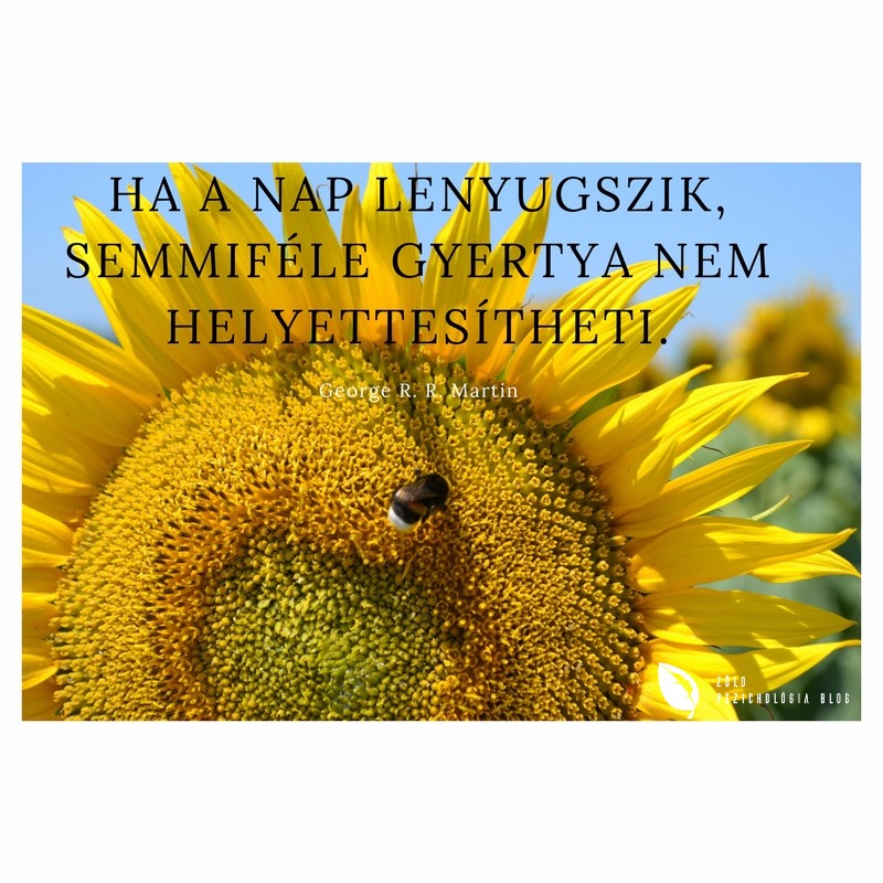 ha_a_nap_lenyugszik_semmifele_gyertya_nem_helyettesitheti_1.jpg