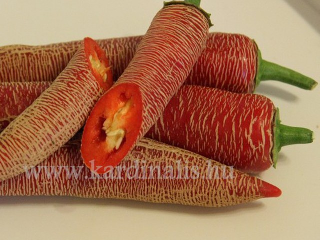 Chili paprika linkek www.kardinalis.hu