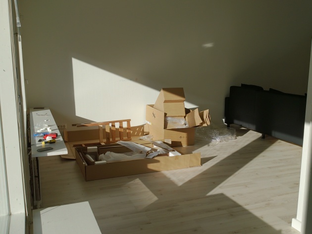 First Rent - Sunshine in Livingroom - w630.jpg