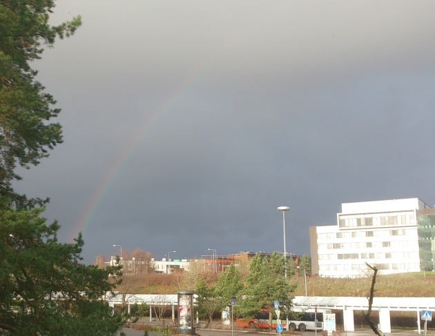 Rainbow - w630.jpg