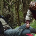 Hunt for the Wilderpeople