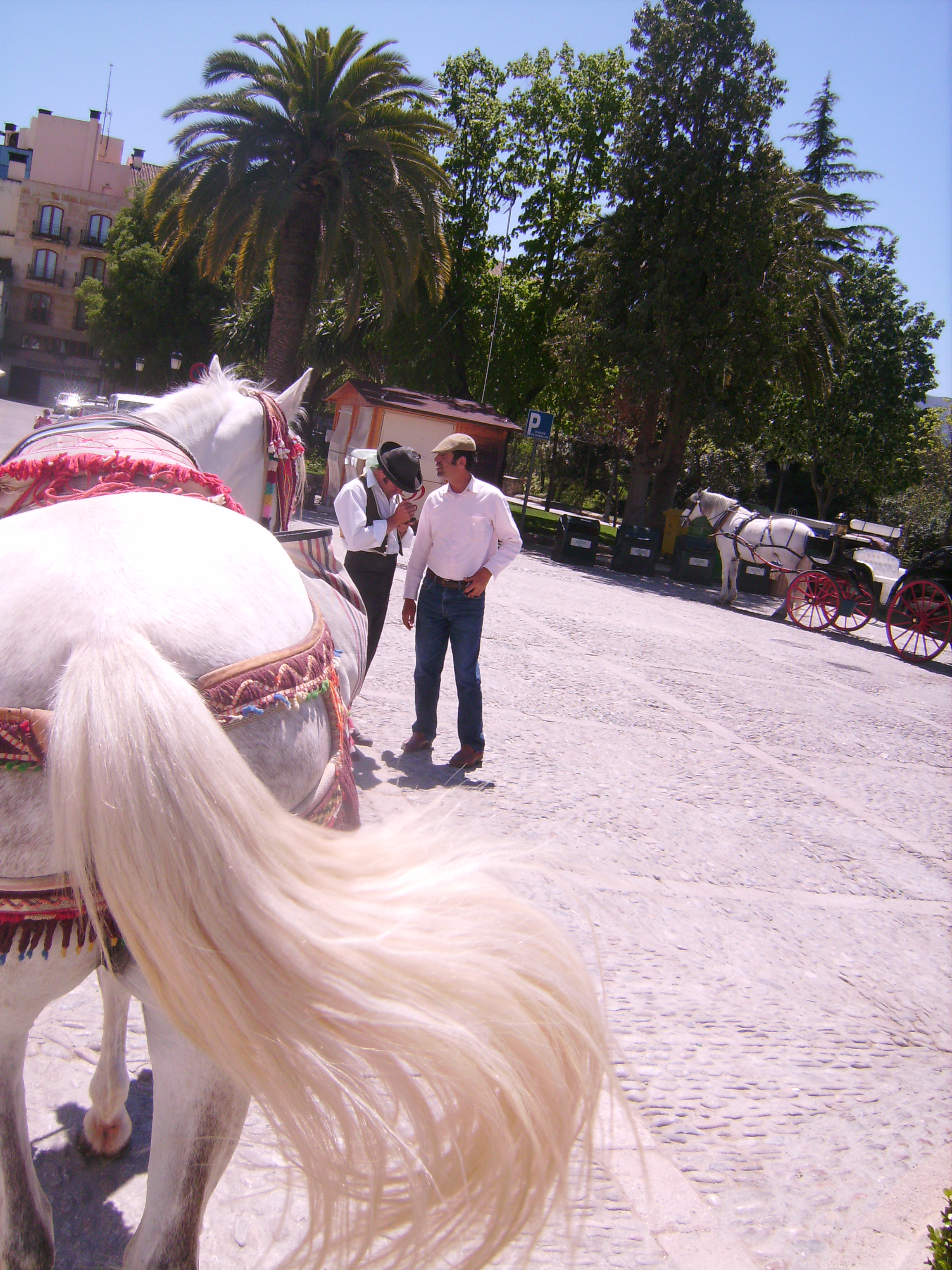 imgp0253_plaza_de_toros.JPG