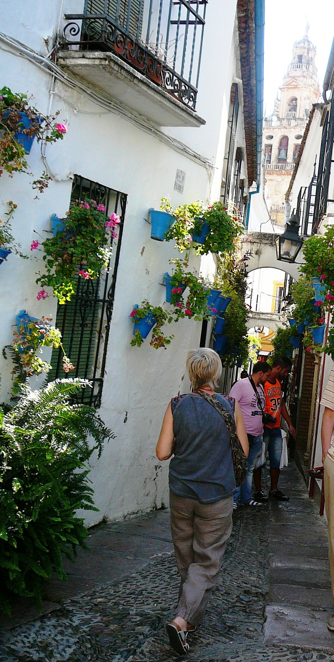 calle_de_flores.jpg