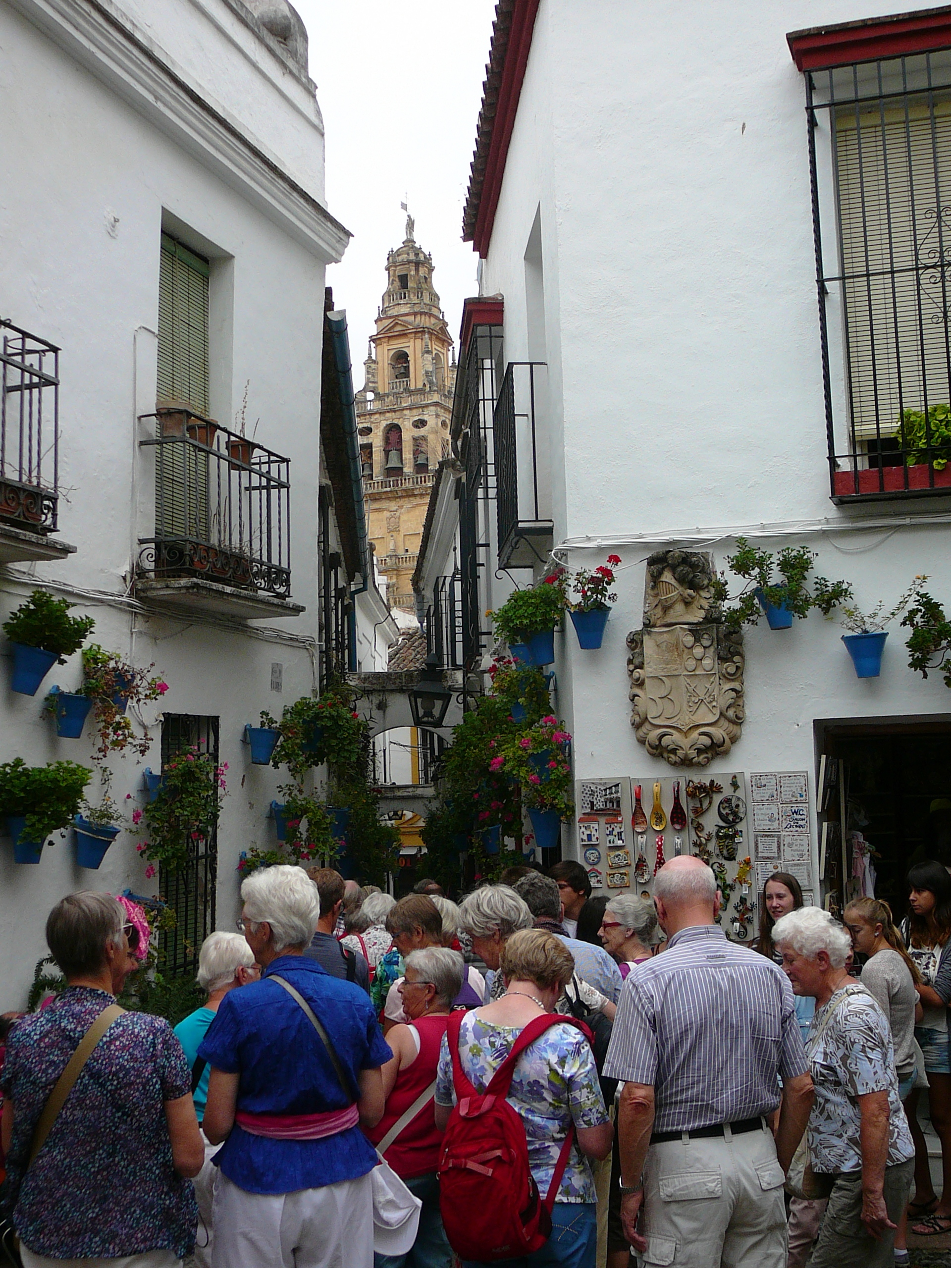 calle_de_flores_1.jpg