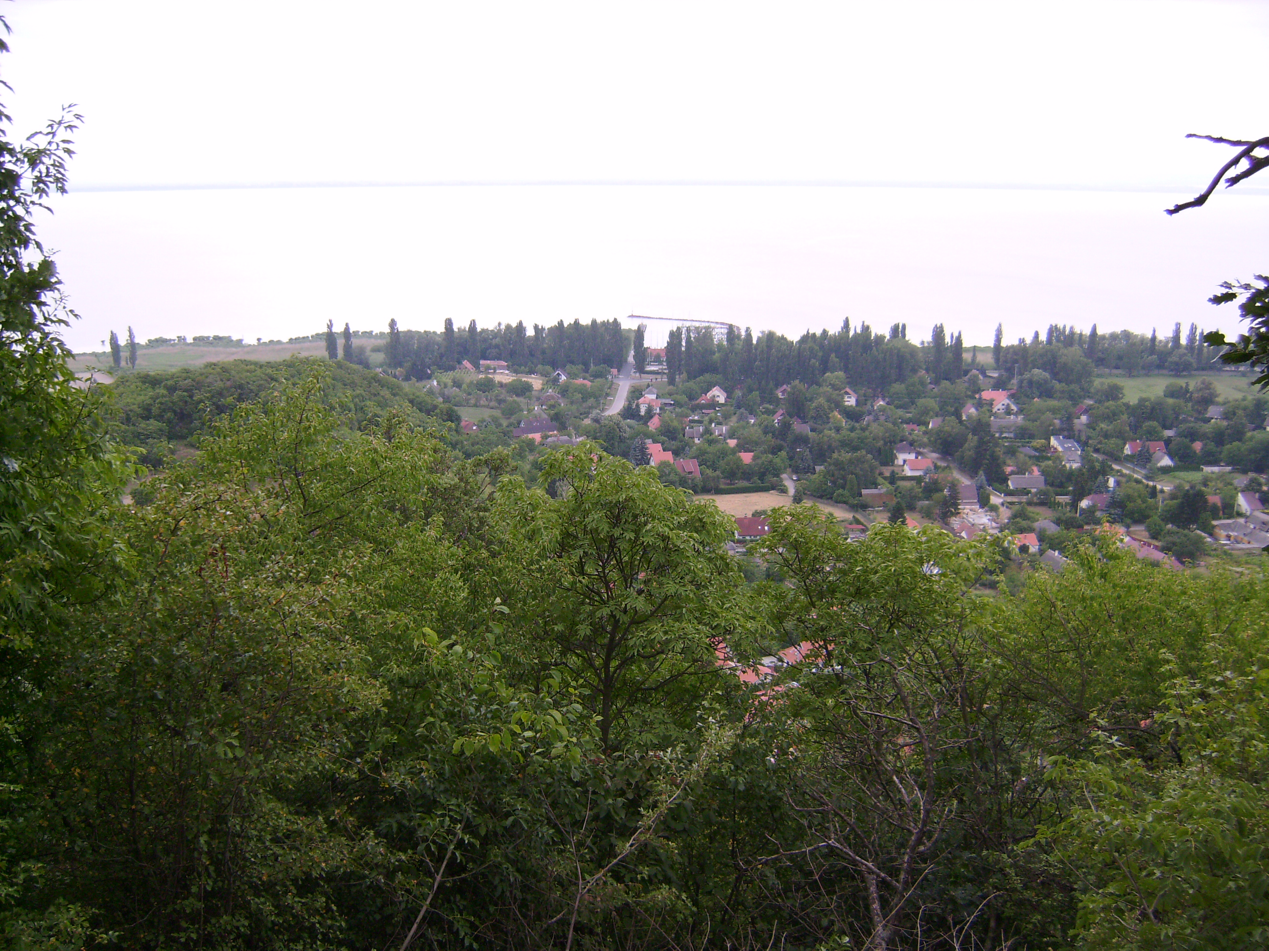 04.JPG