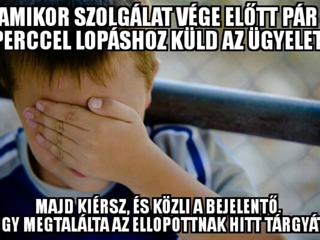 Csak "majdnem" lopás