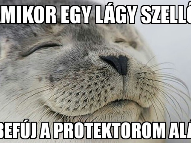 Protektor poén