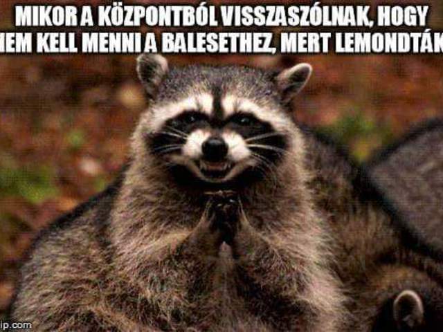 Mégsem