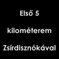 Első 5 kilométerem Zsírdisznókával (online edzésterv)