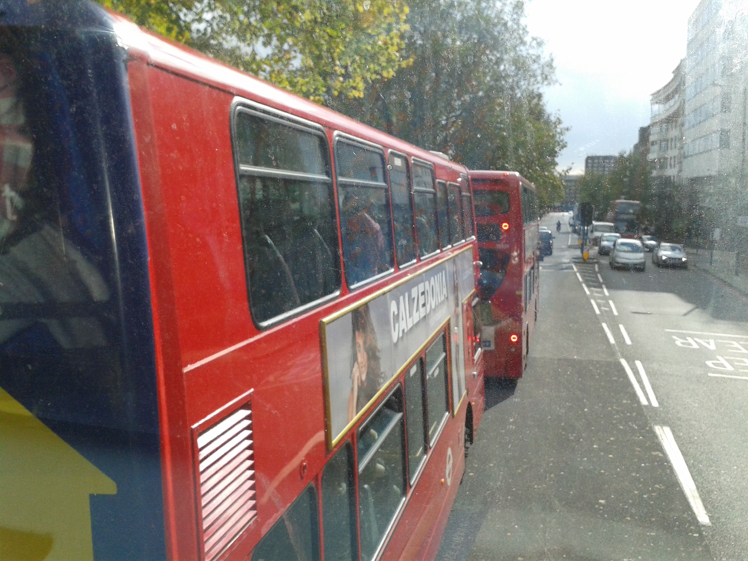 20141011_113721.jpg