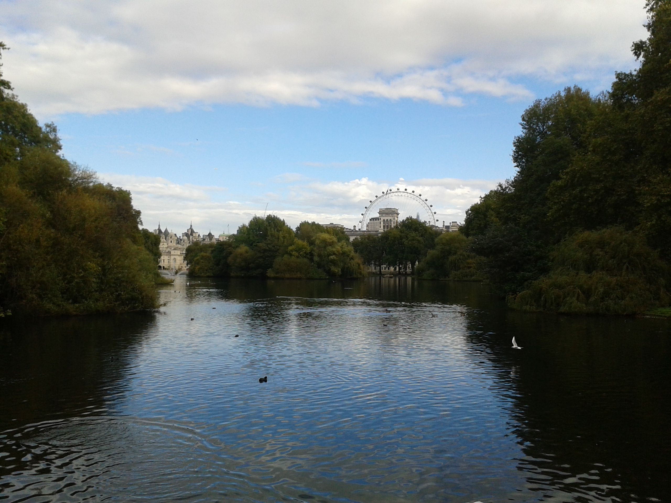 20141011_143418.jpg