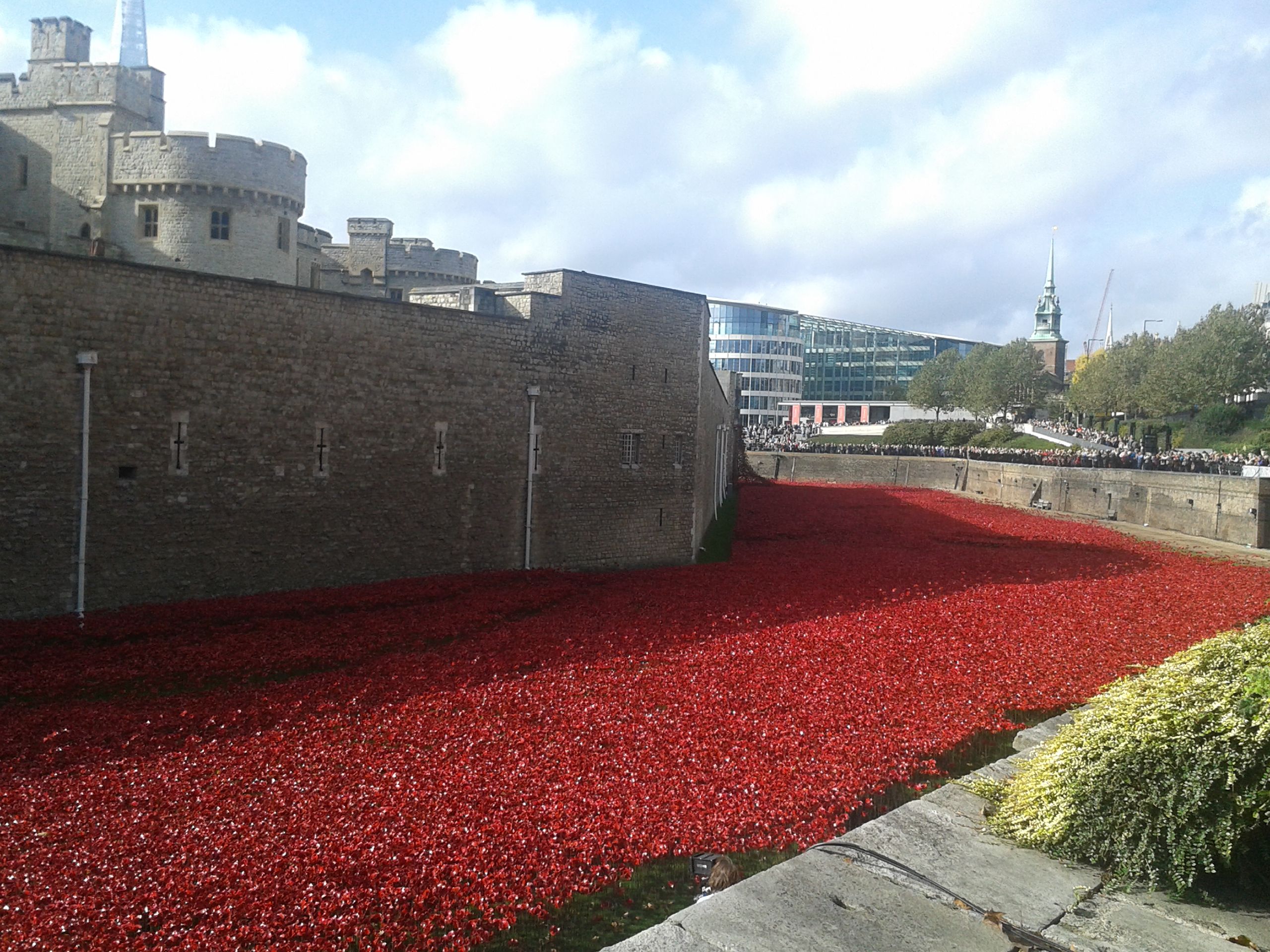 20141017_114421.jpg