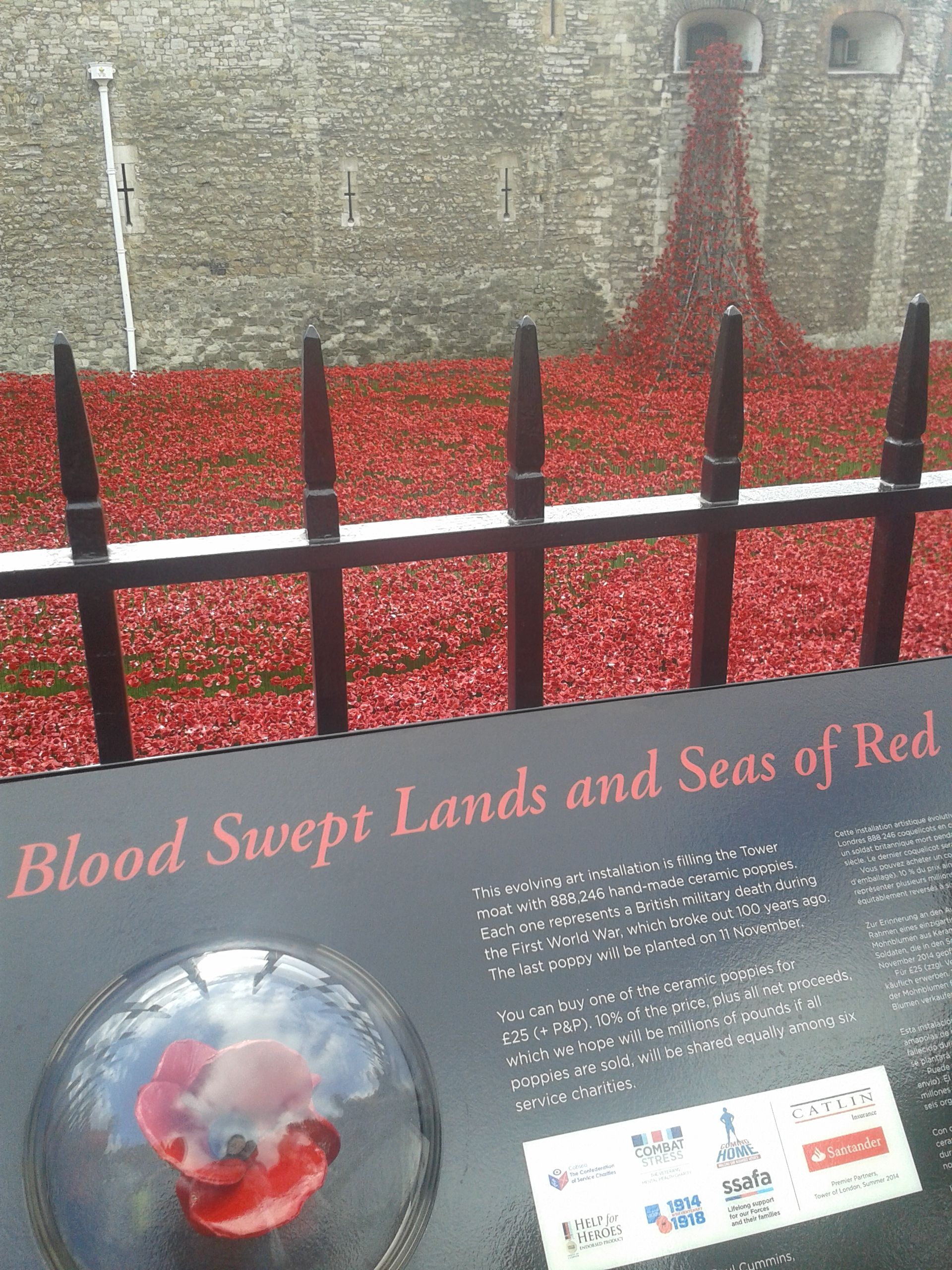 20141017_120036.jpg