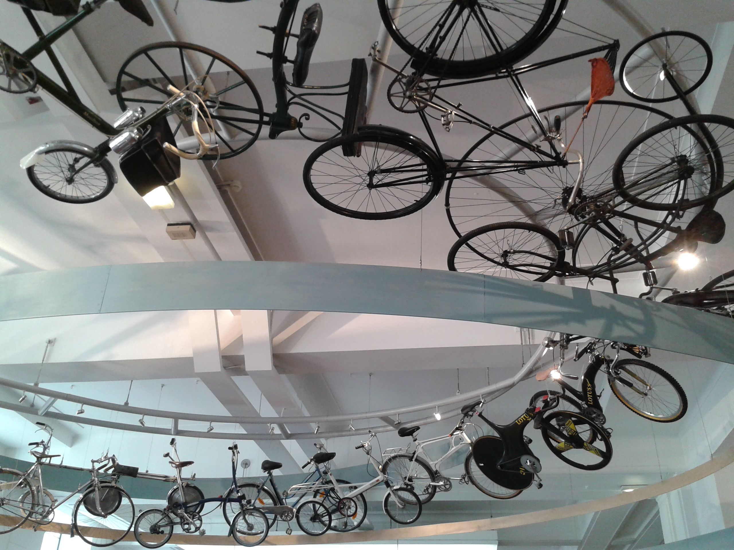 20141028_102549.jpg
