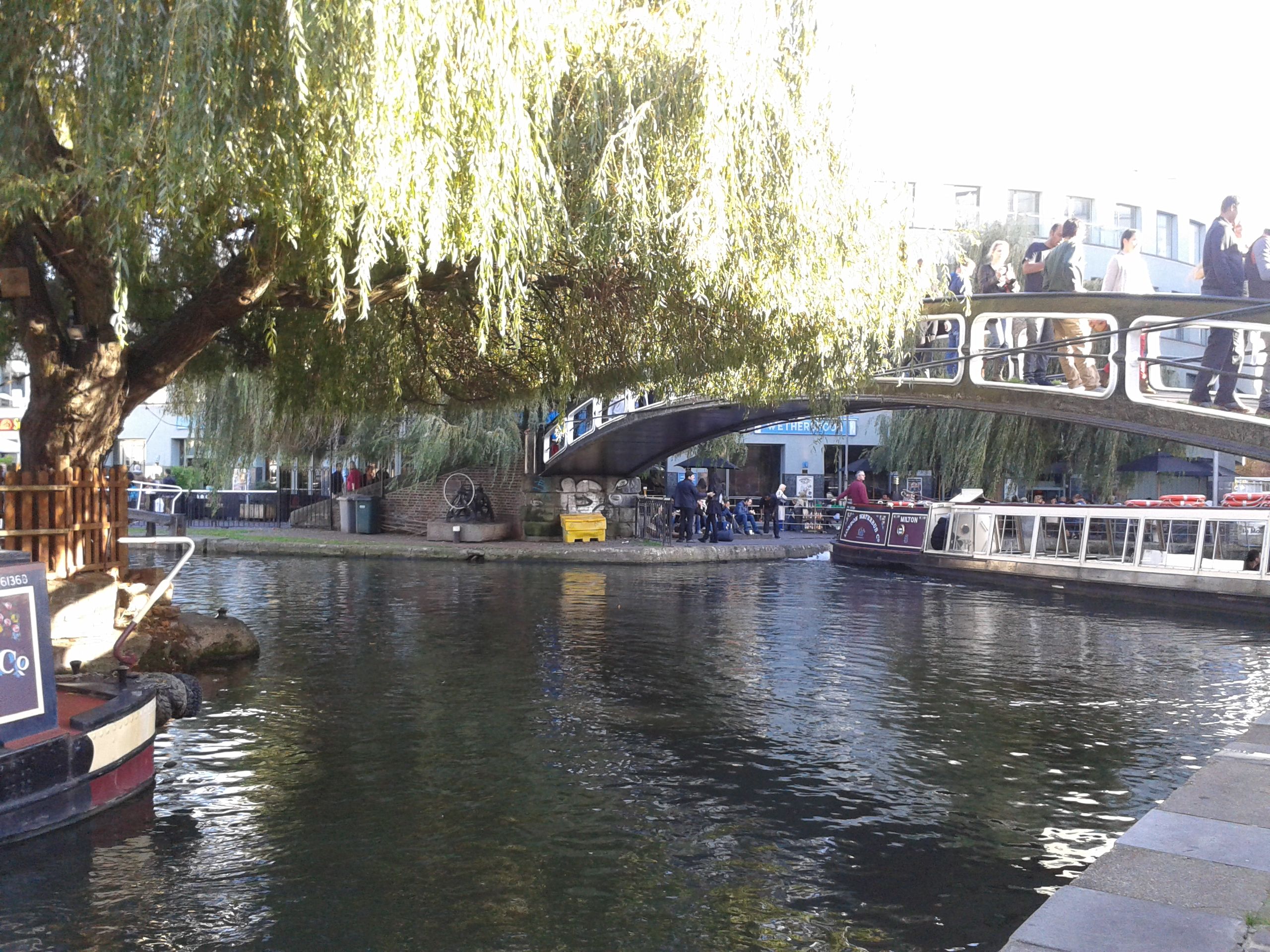 20141101_141650.jpg