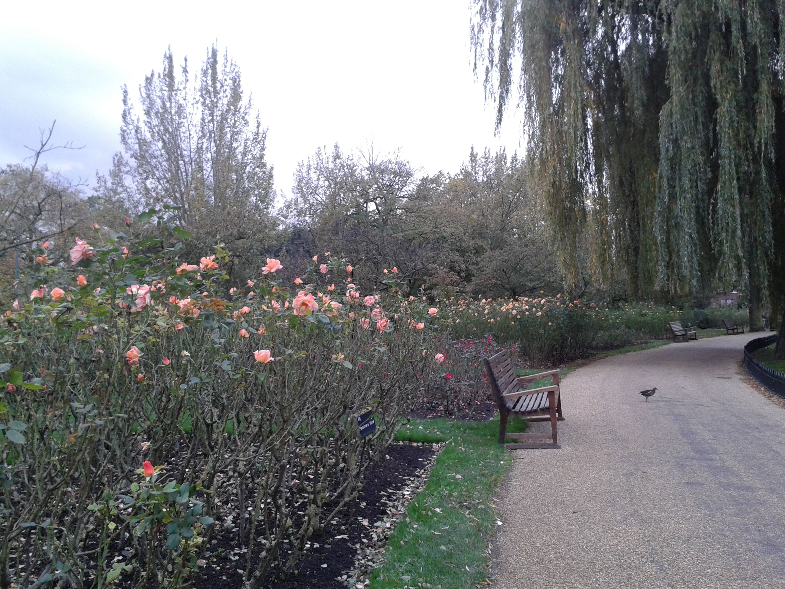 20141108_151952.jpg