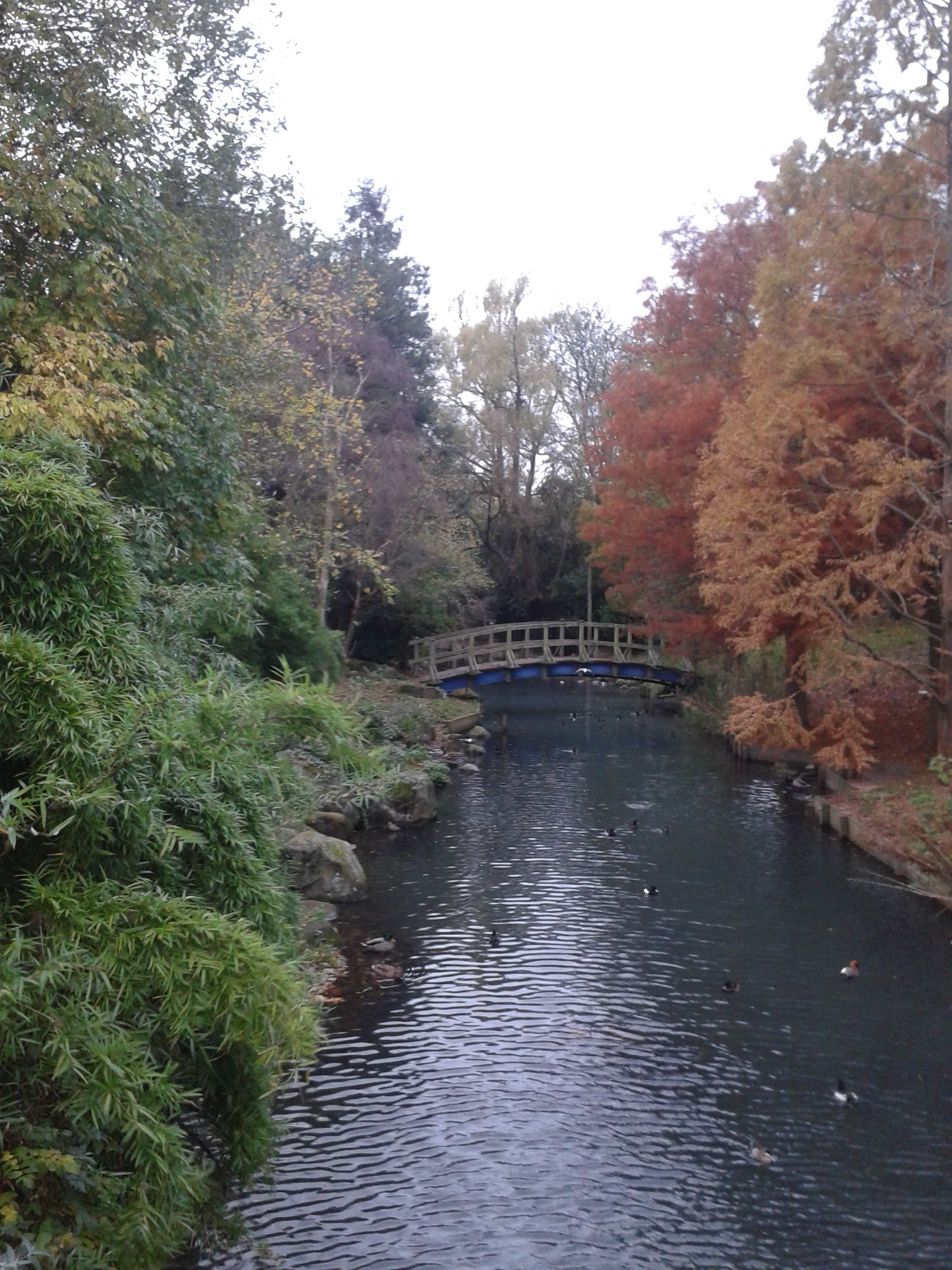 20141108_155228.jpg