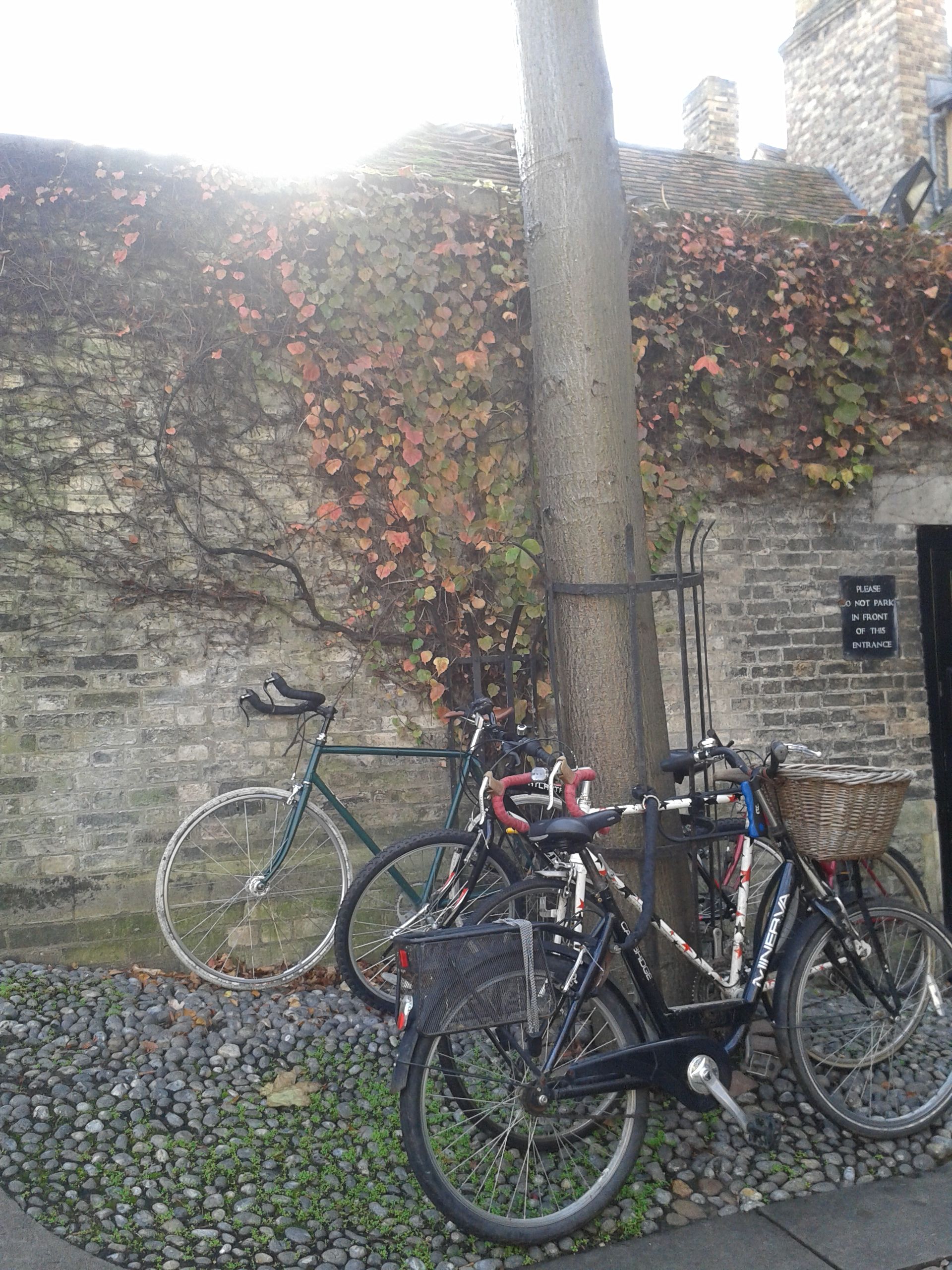 20141109_130409.jpg