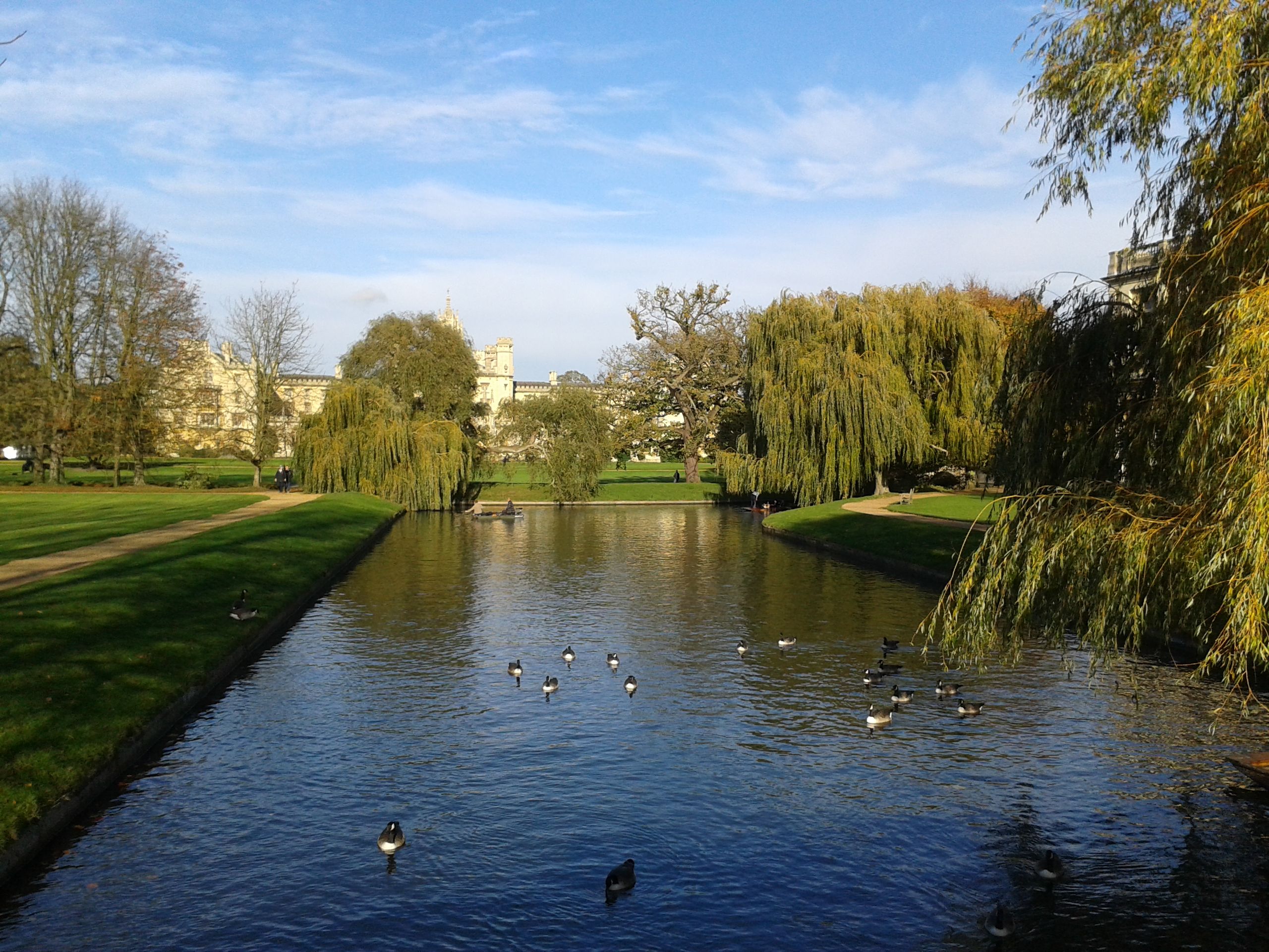 20141109_132930.jpg