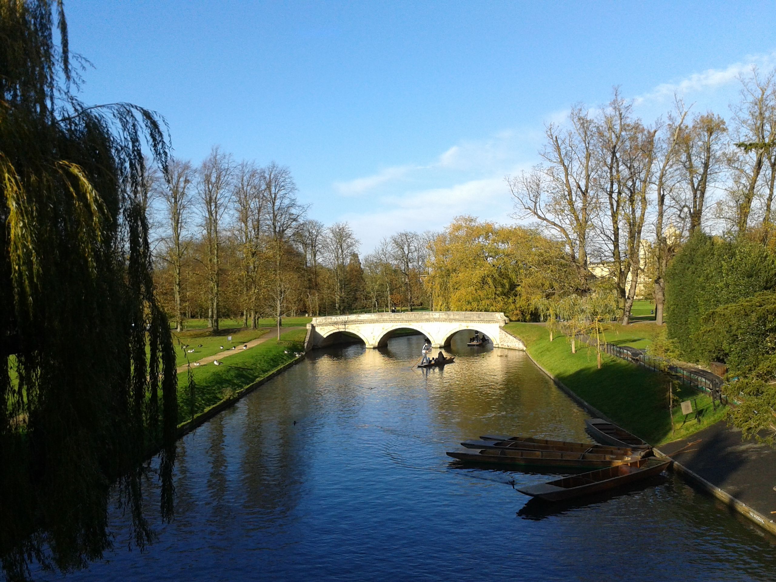 20141109_134417.jpg