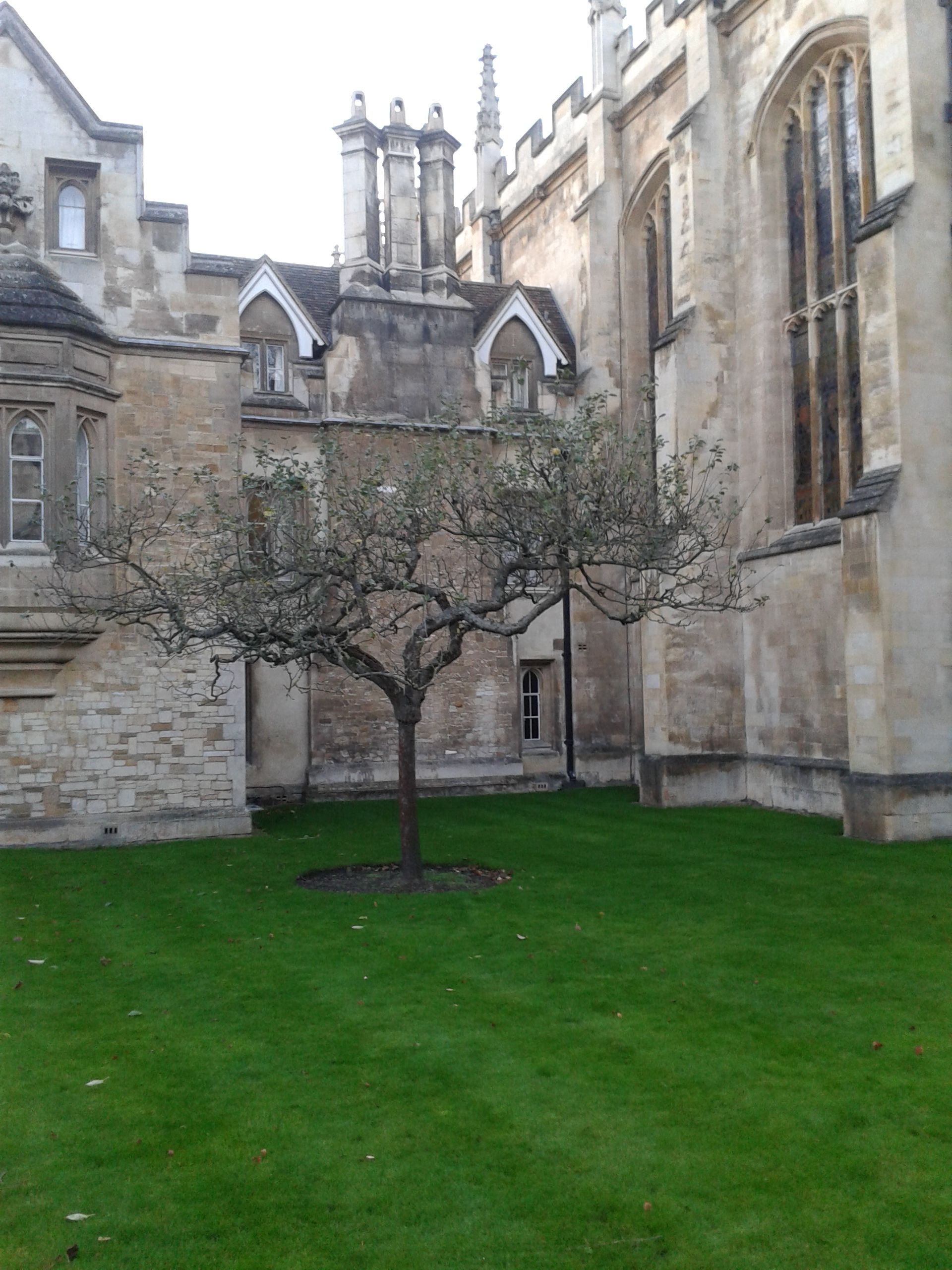 20141109_160904.jpg