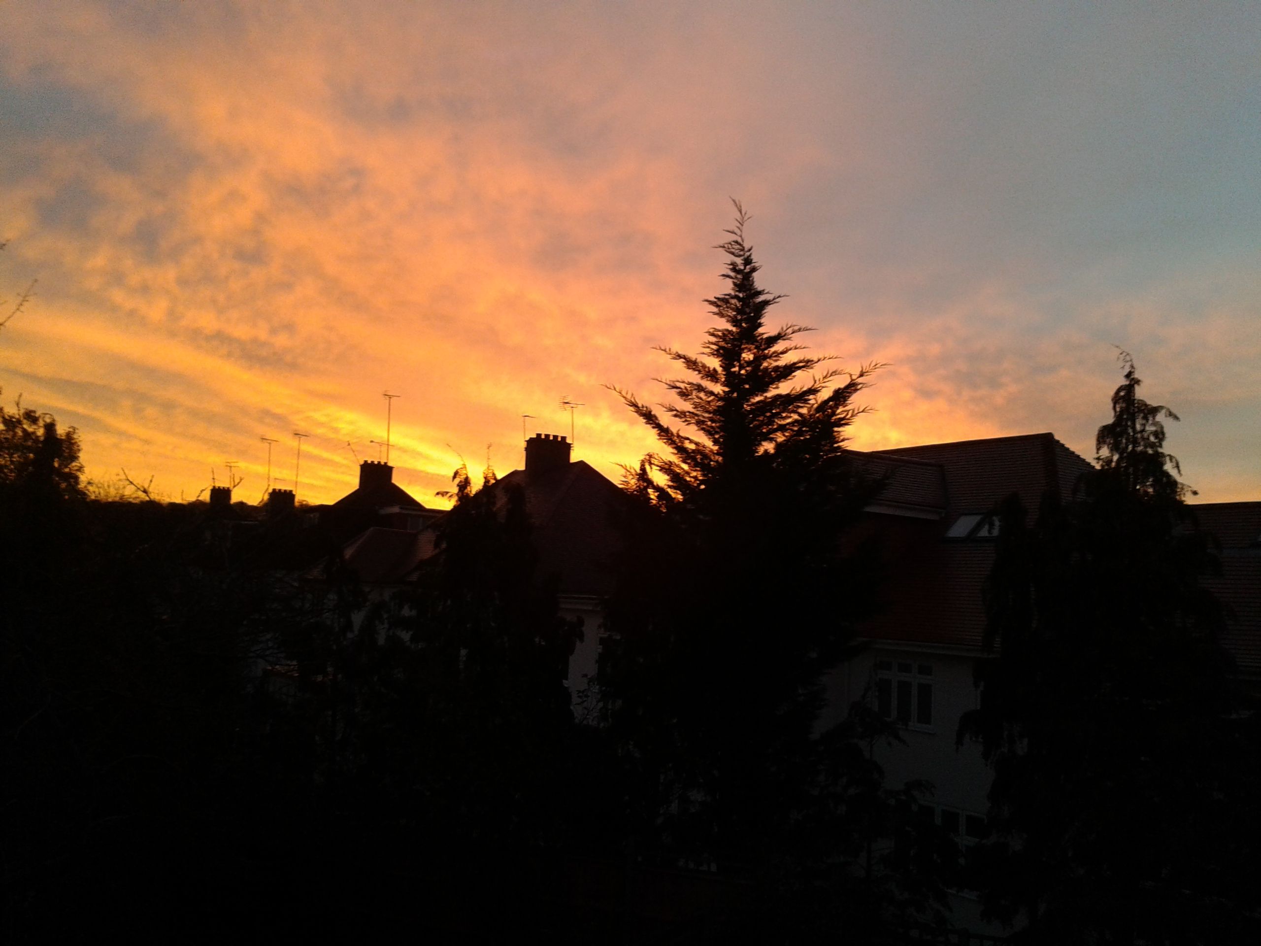 20141113_070340.jpg