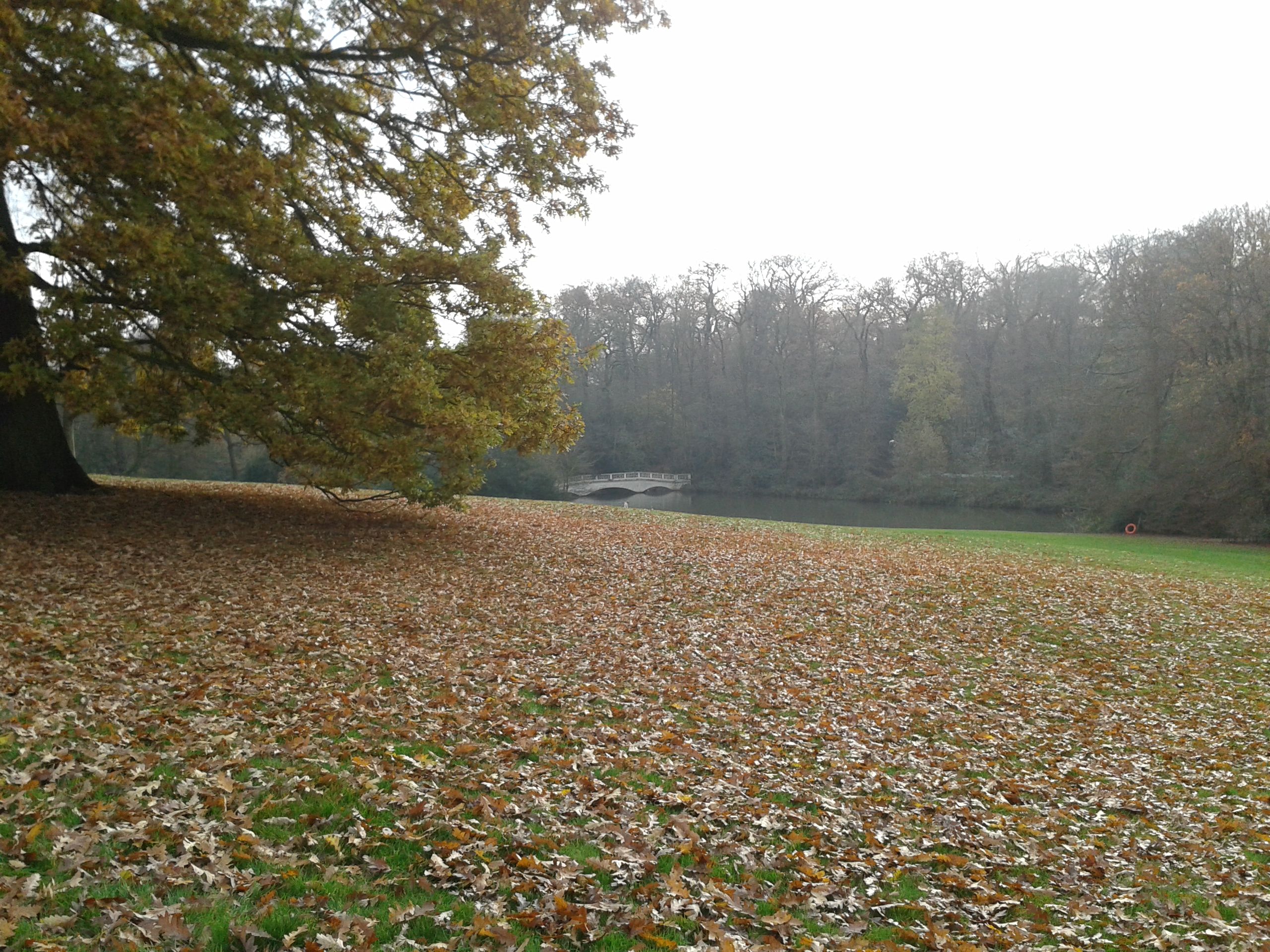 20141129_110754.jpg