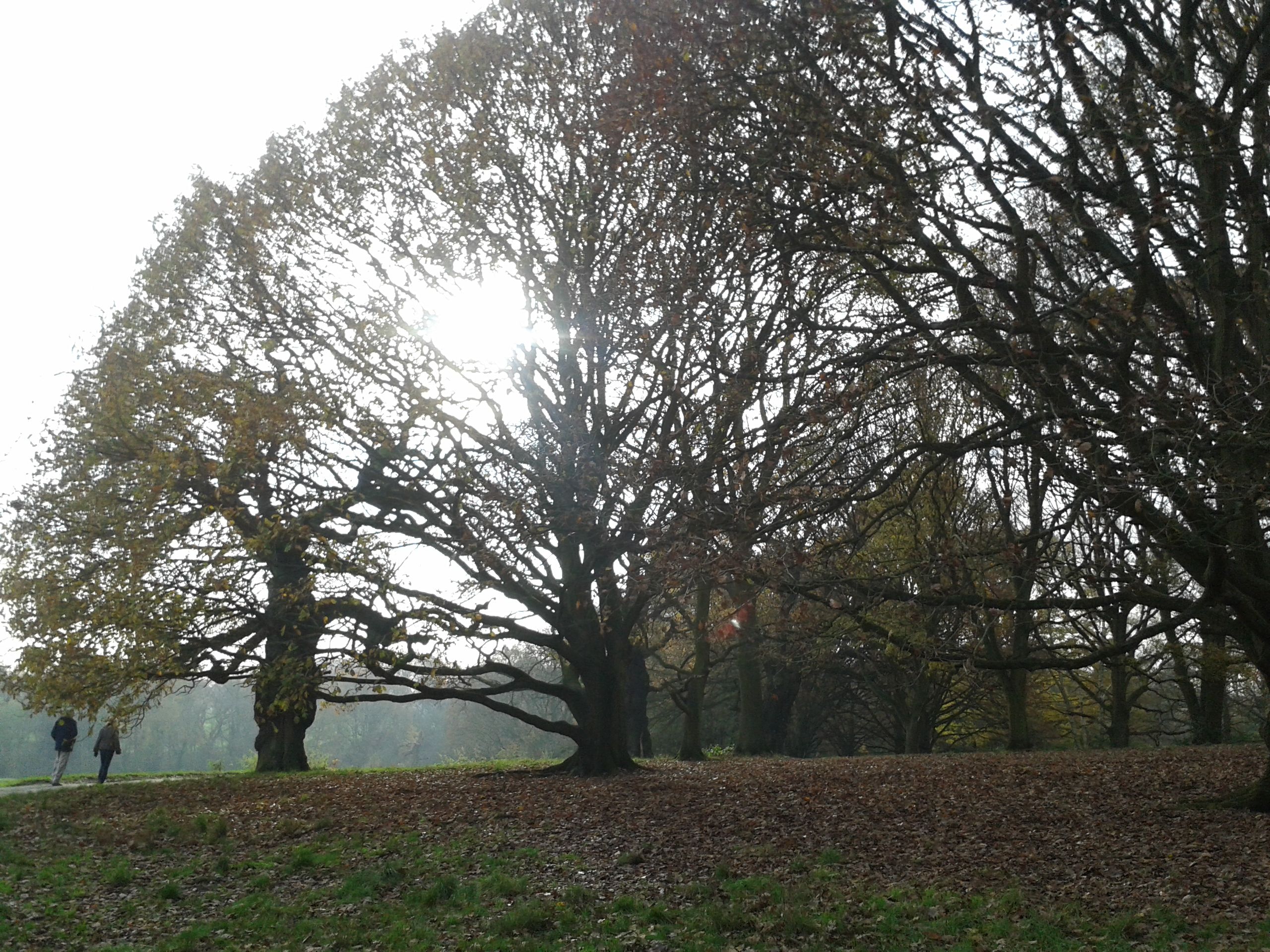 20141129_111835.jpg