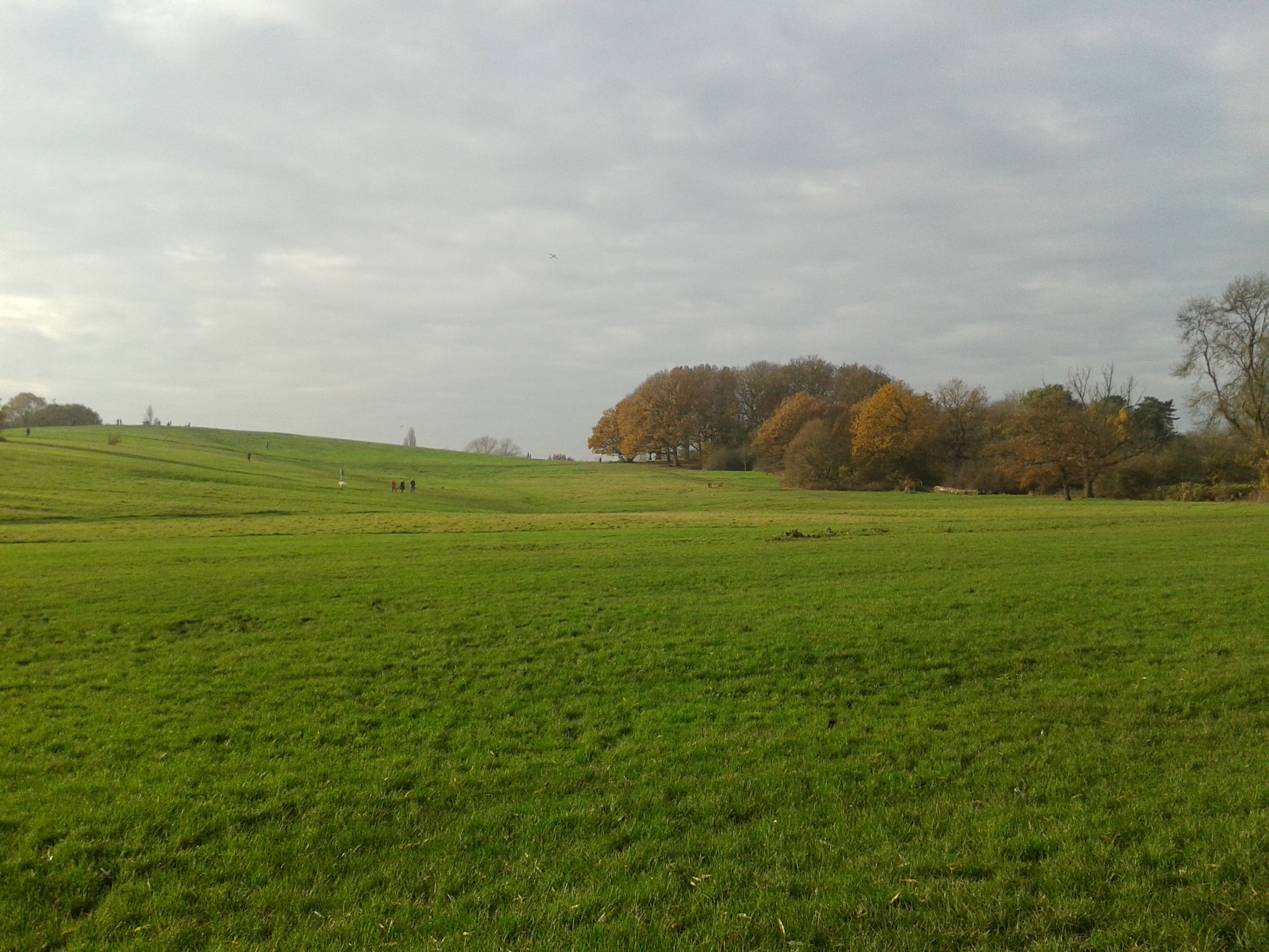 20141129_113548.jpg