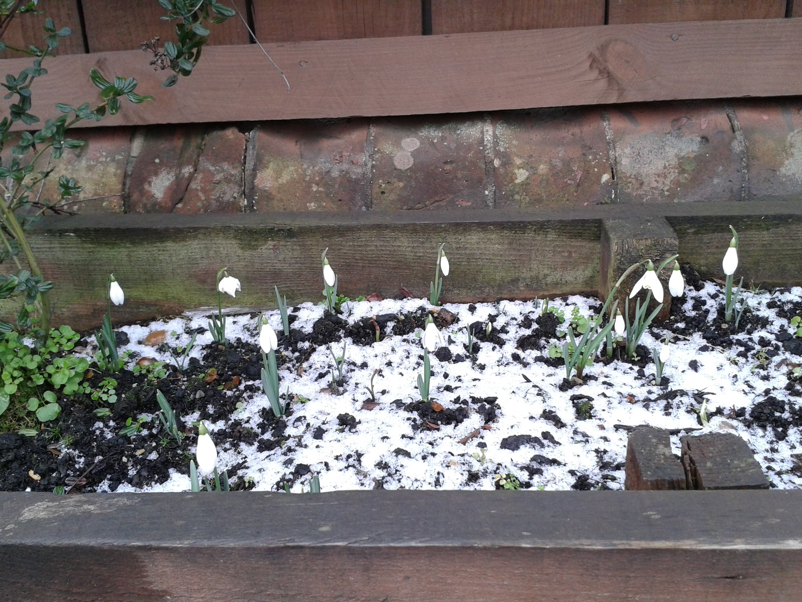 20150203_111730.jpg
