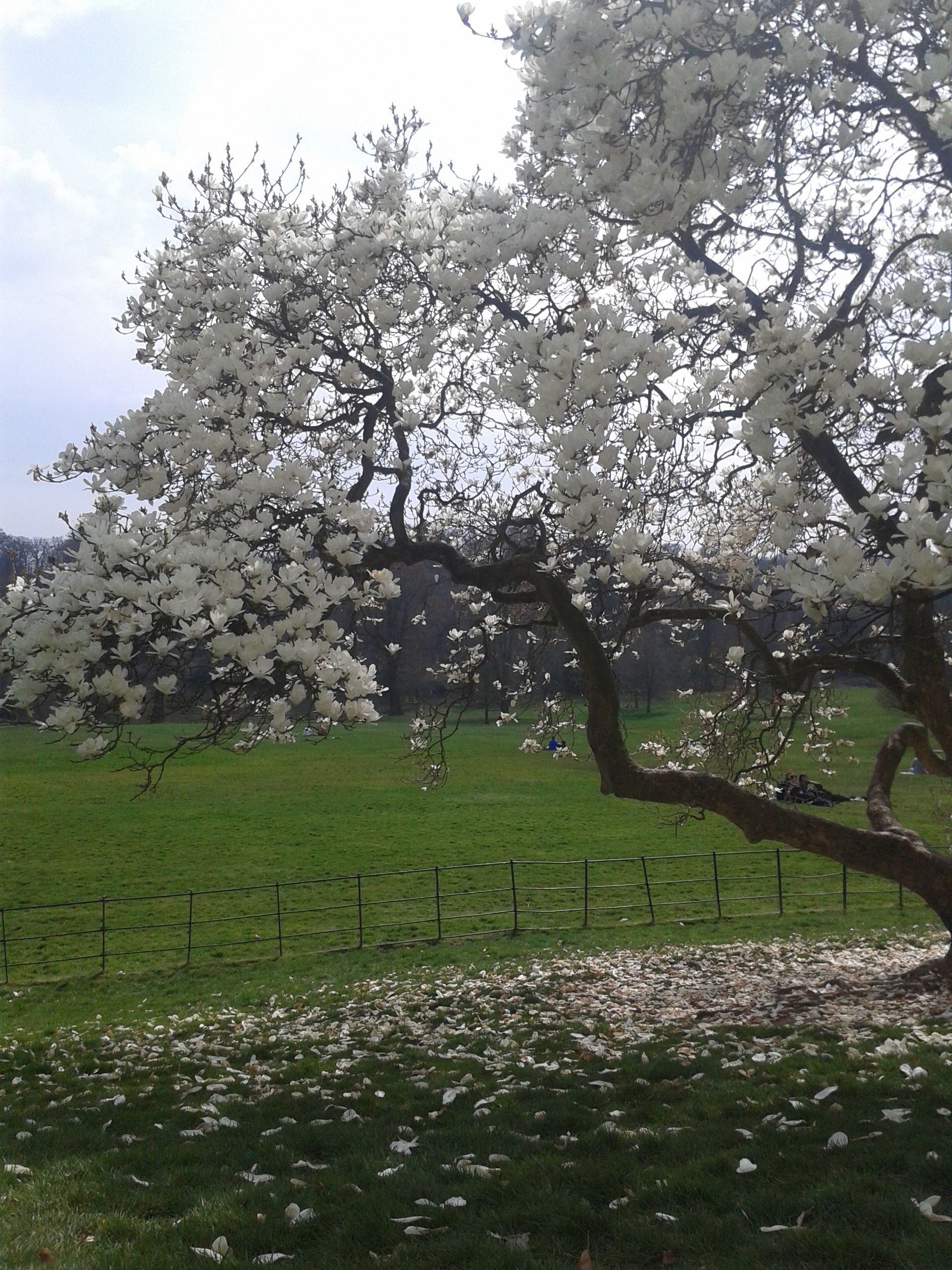 20150410_133727.jpg