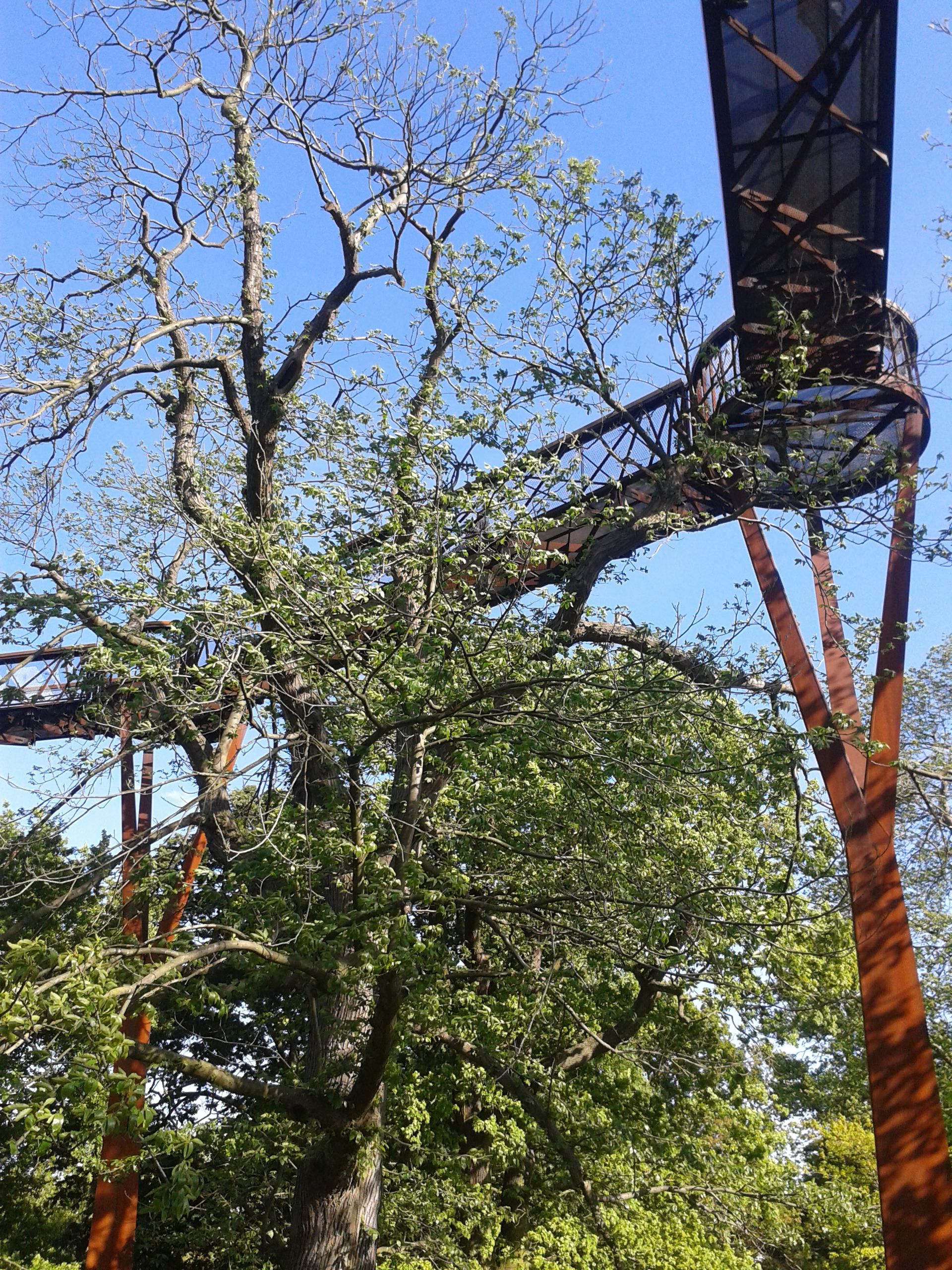 Treetop séta a Kew Gardenben