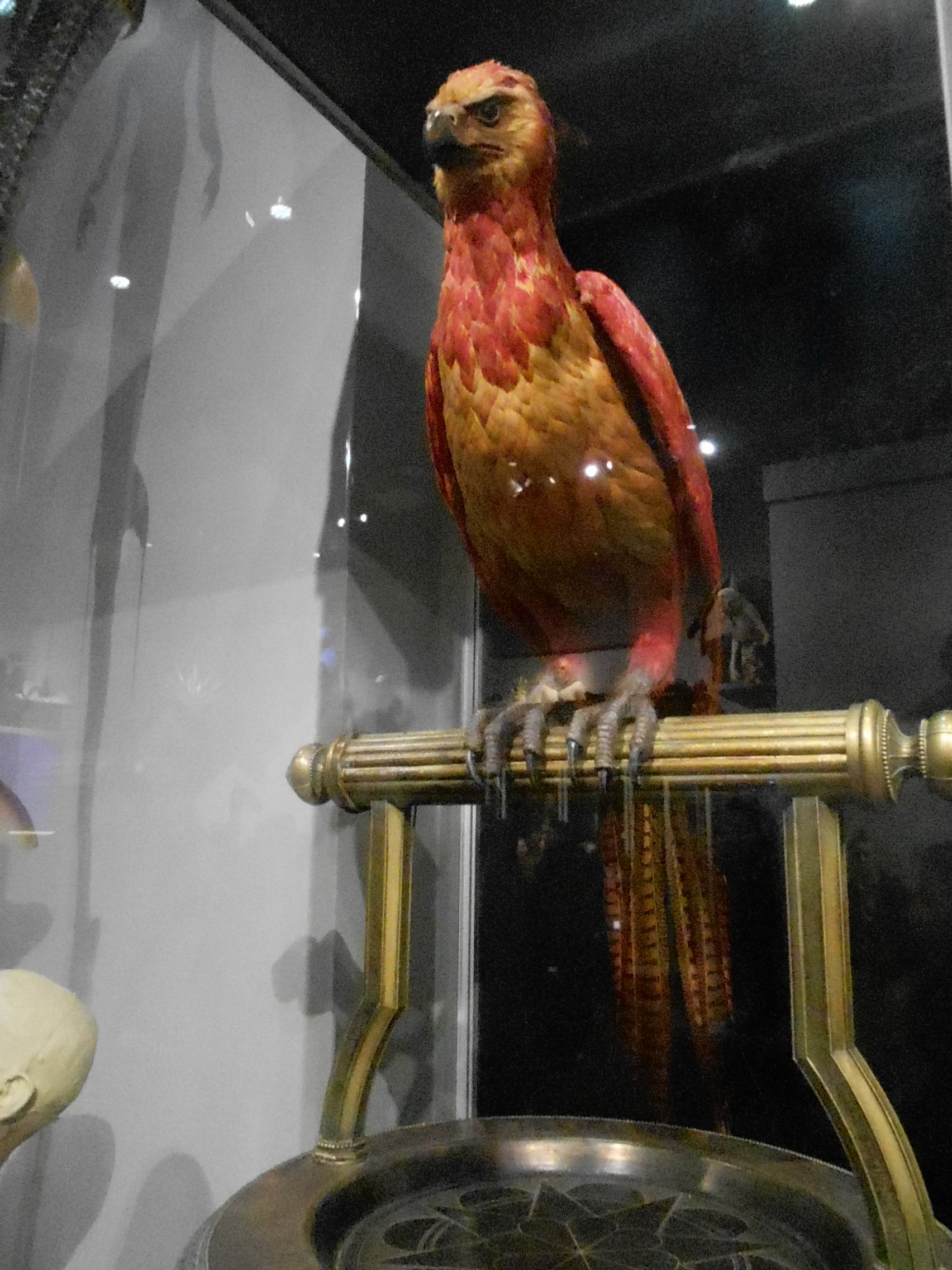 Fawkes