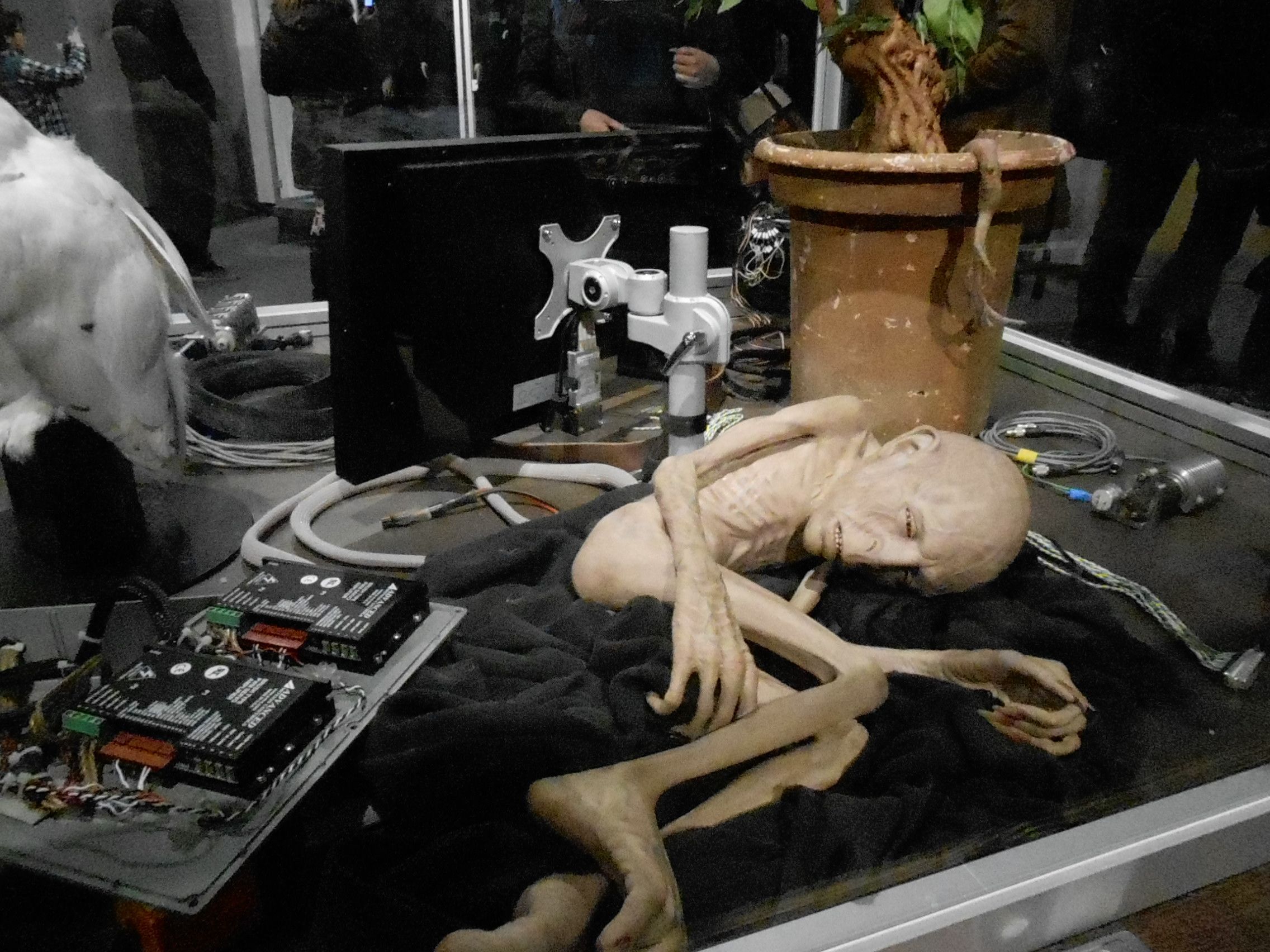 Voldemort robot