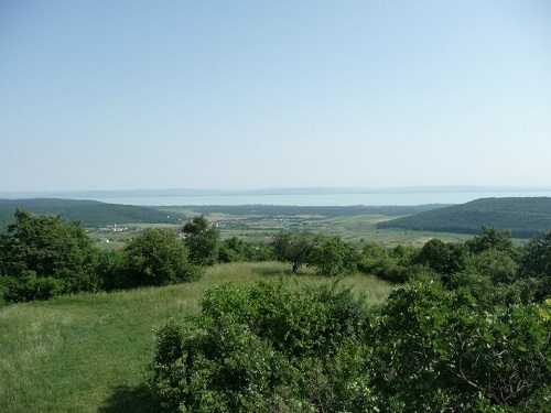 Balaton-felvidek.jpg