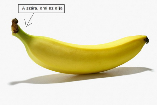 banana.jpg
