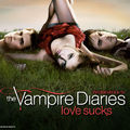 The Vampire Diaries 02x14