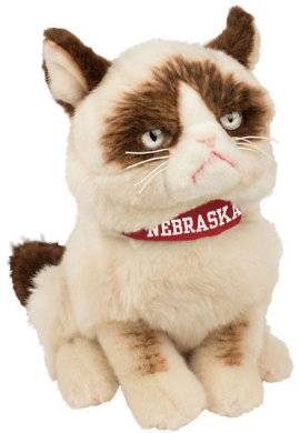 12. Grumpy cat.jpg