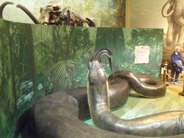 Titanoboa.jpg