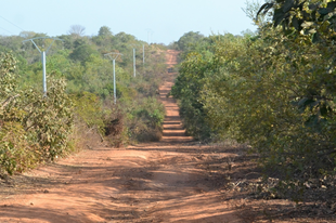 Na milyen volt Gambia?